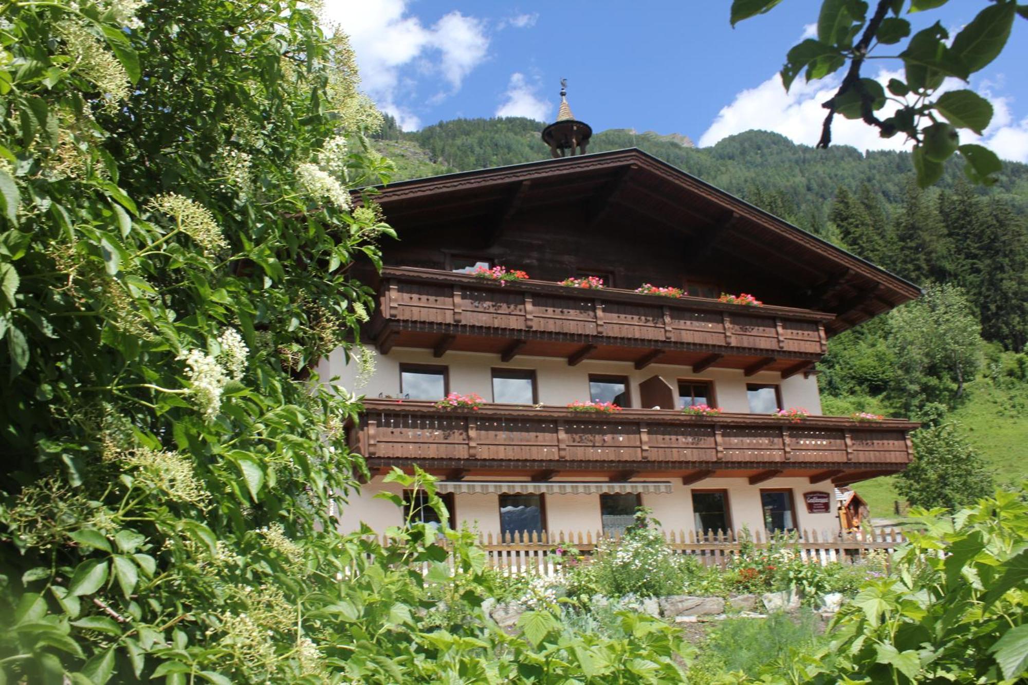 Bauernhof Grussberggut Villa Bad Hofgastein Exterior photo